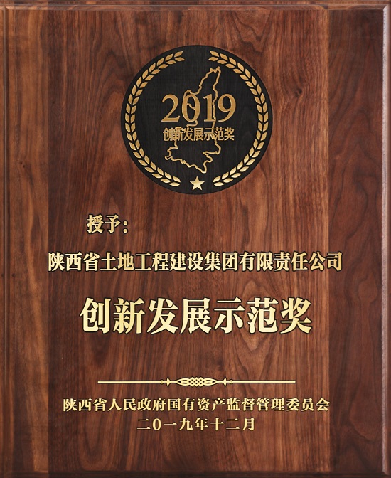 2019年创新发展示范奖 .jpg